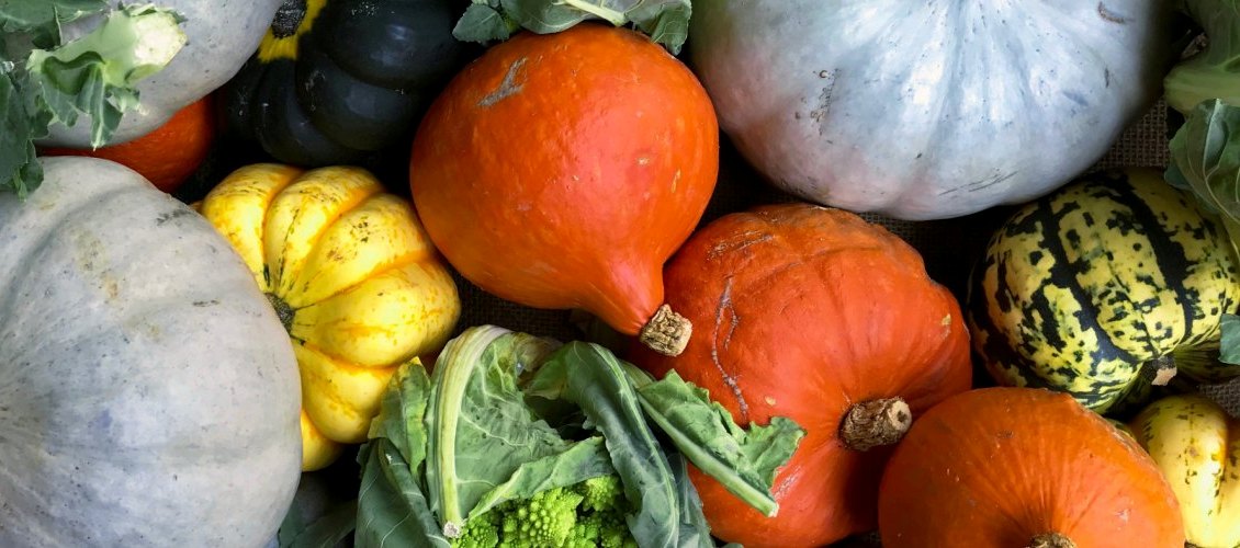 zucca